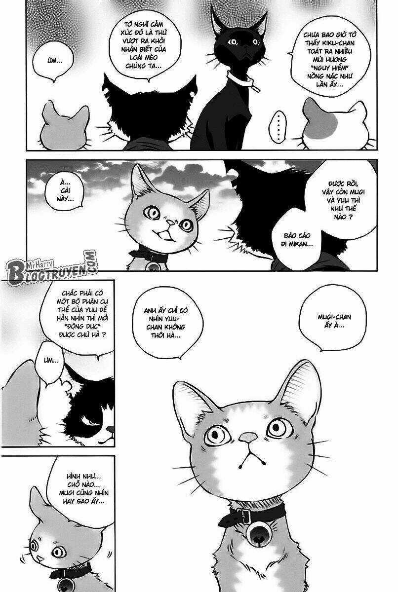 Pastel - Chapter 156 - Trang 33