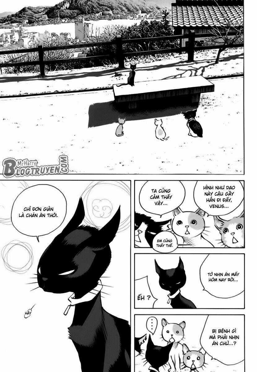Pastel - Chapter 162 - Trang 18