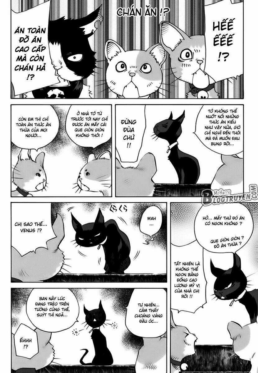 Pastel - Chapter 162 - Trang 19