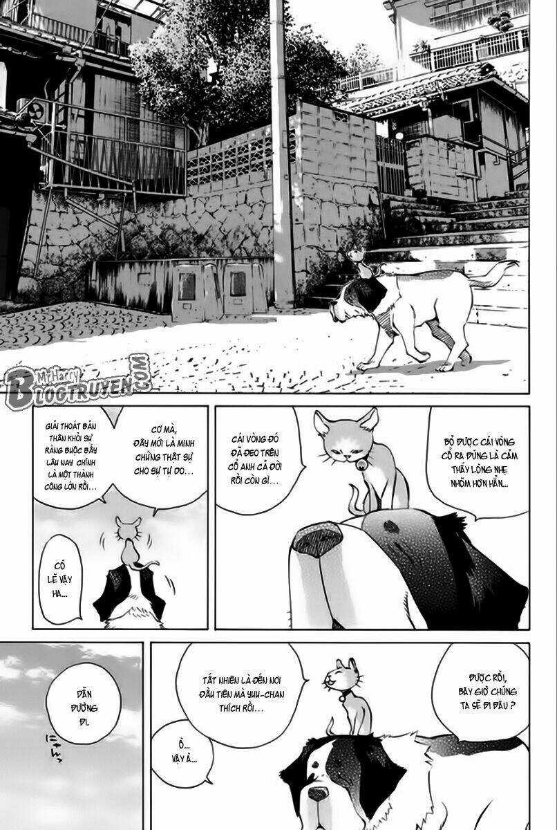 Pastel - Chapter 166 - Trang 12