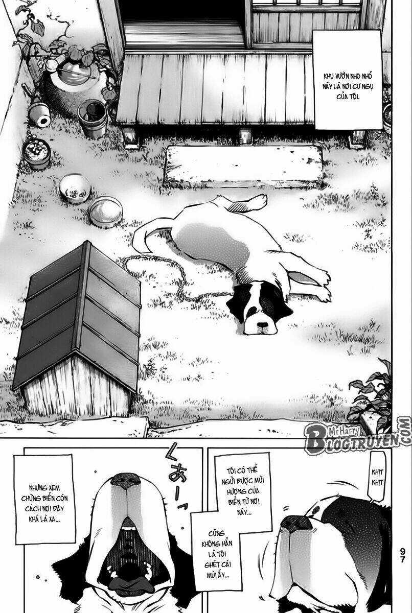 Pastel - Chapter 166 - Trang 4