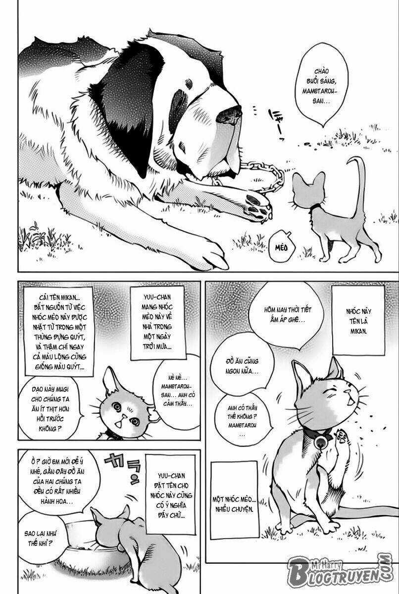 Pastel - Chapter 166 - Trang 5