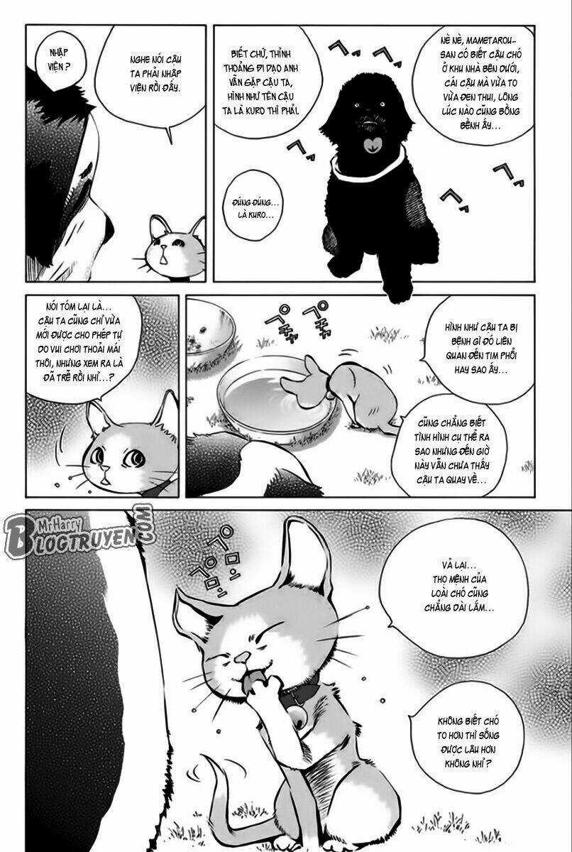 Pastel - Chapter 166 - Trang 7