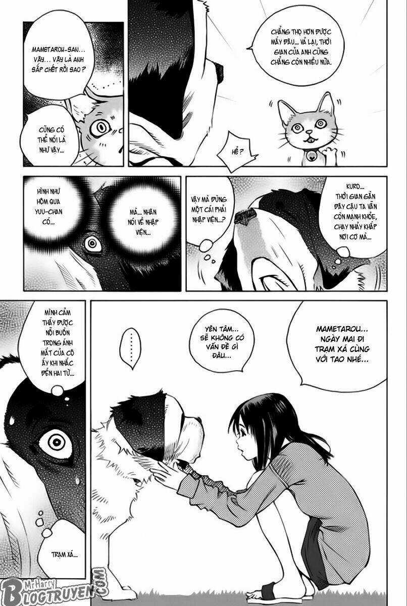 Pastel - Chapter 166 - Trang 8