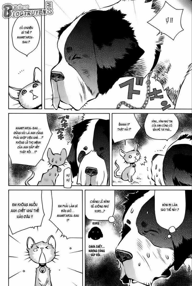 Pastel - Chapter 166 - Trang 9