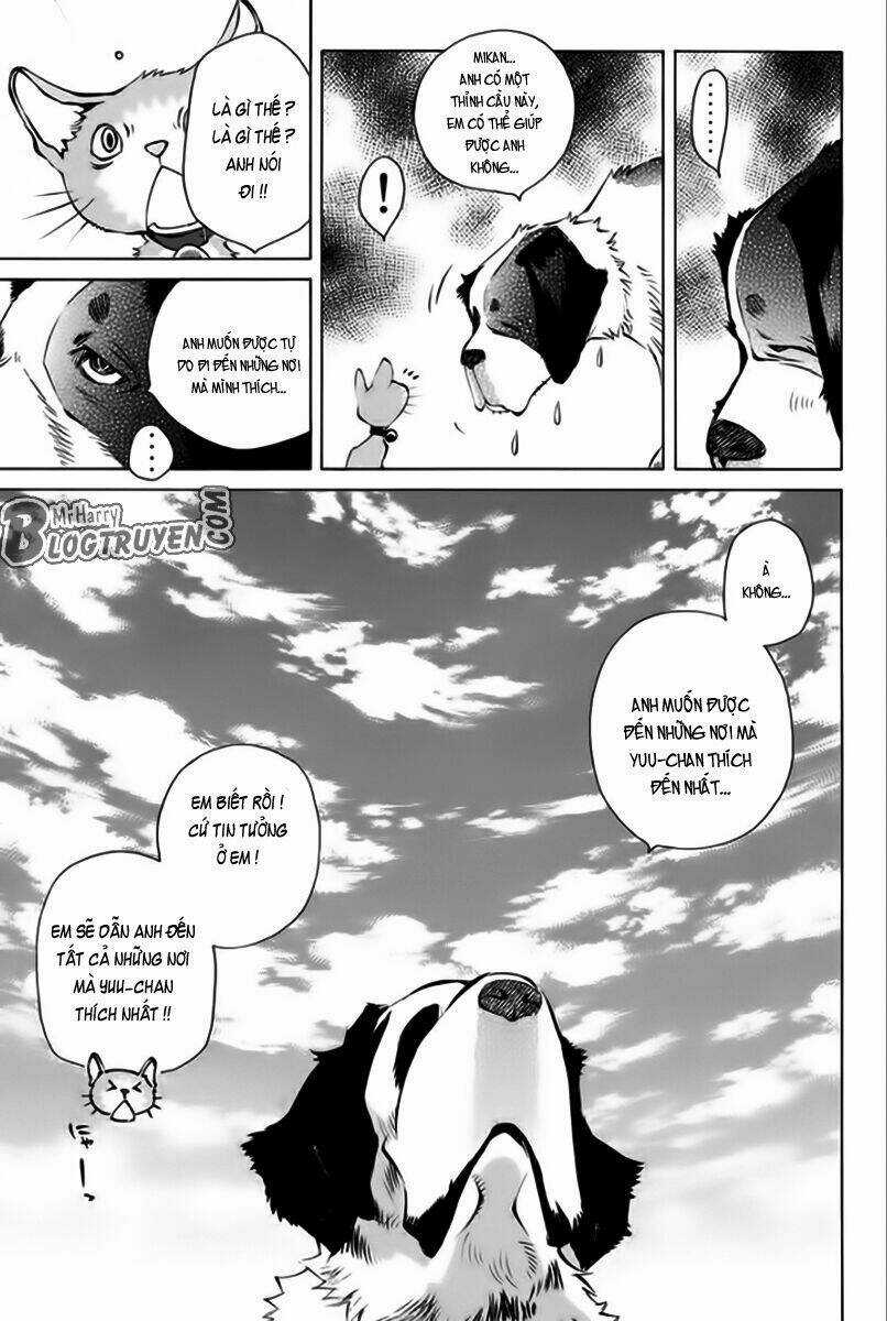 Pastel - Chapter 166 - Trang 10