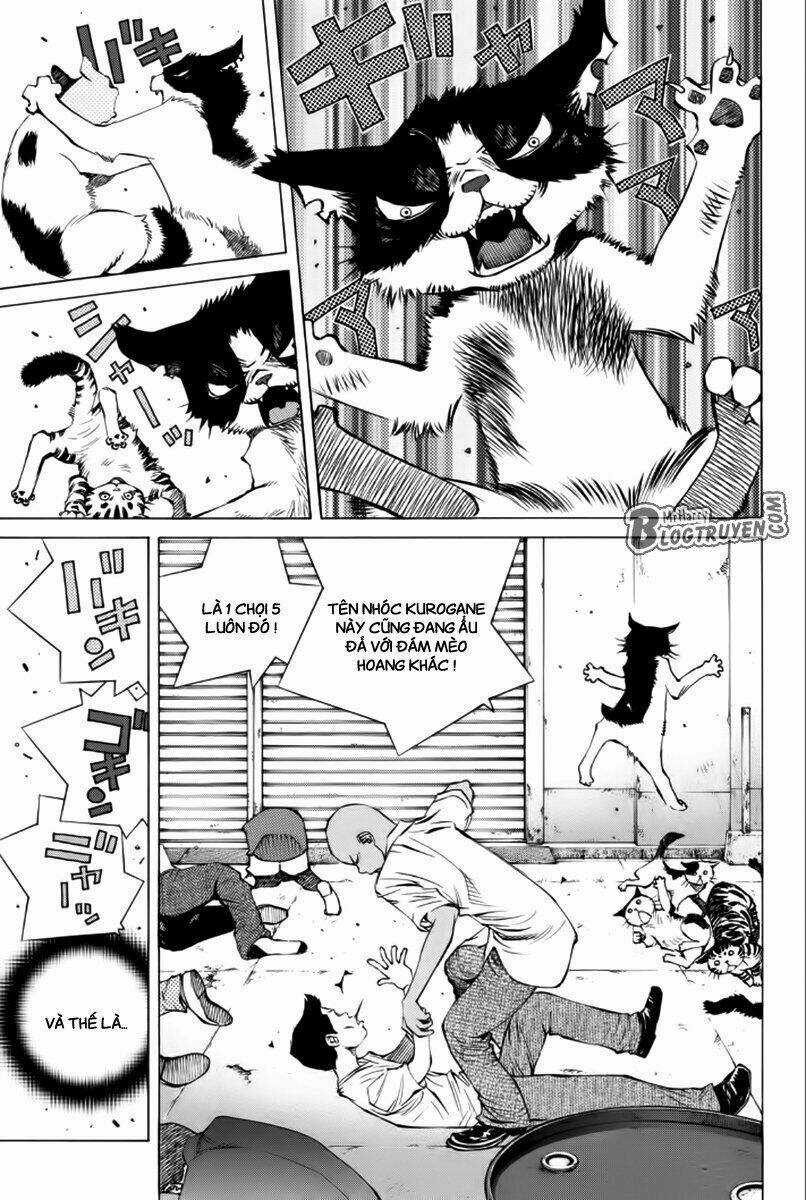 Pastel - Chapter 176 - Trang 16