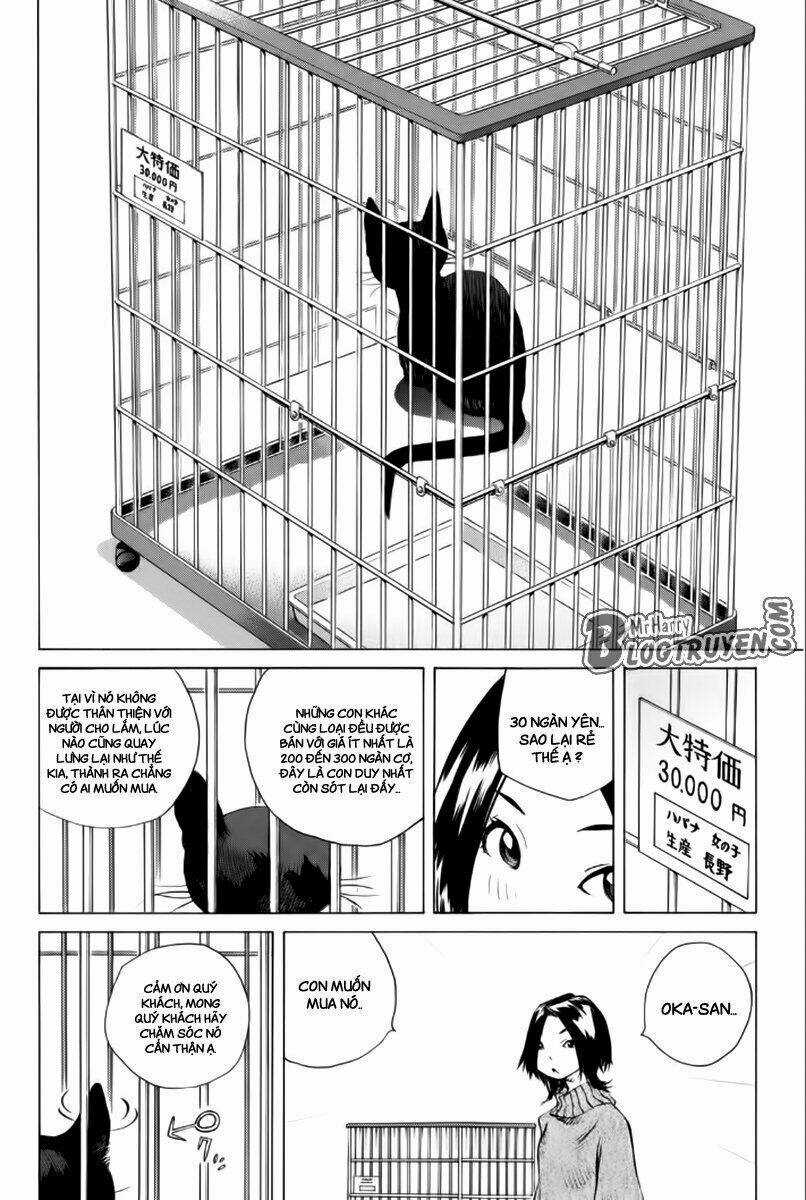 Pastel - Chapter 176 - Trang 21