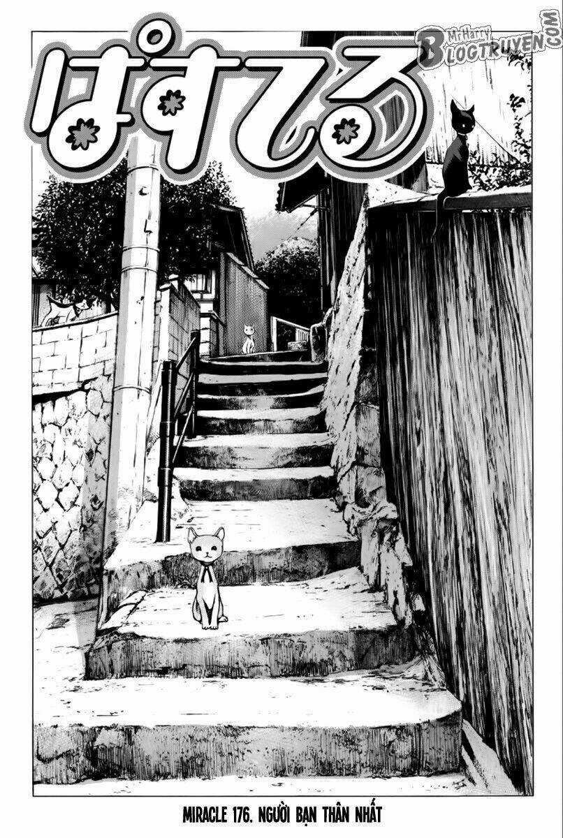 Pastel - Chapter 176 - Trang 4