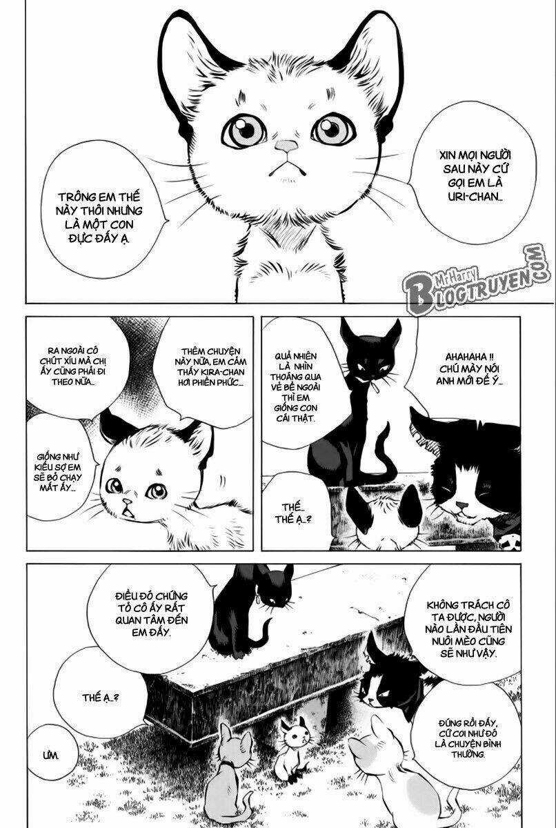 Pastel - Chapter 177 - Trang 25