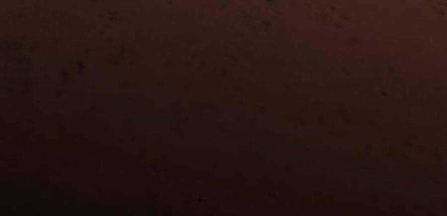 Phá Bỏ Giới Hạn - Chapter 50.5 - Trang 249