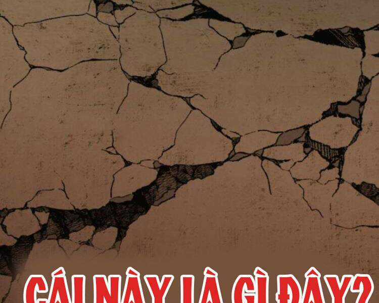 Phá Bỏ Giới Hạn - Chapter 54.5 - Trang 162