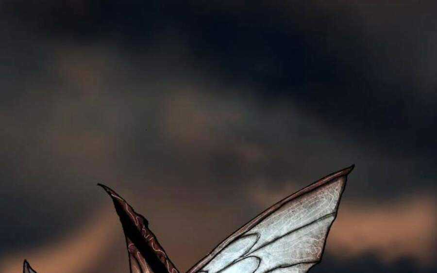 Phá Bỏ Giới Hạn - Chapter 58.5 - Trang 210