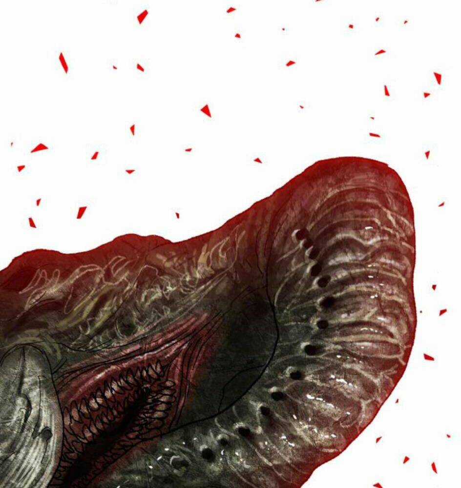 Phá Bỏ Giới Hạn - Chapter 63 - Trang 243