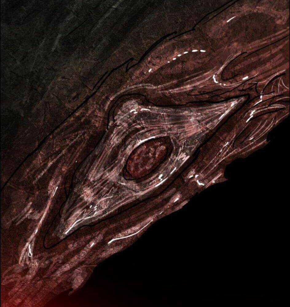 Phá Bỏ Giới Hạn - Chapter 63 - Trang 259