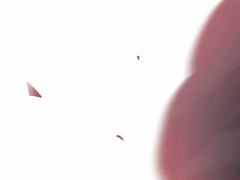 Phá Bỏ Giới Hạn - Chapter 79.5 - Trang 20