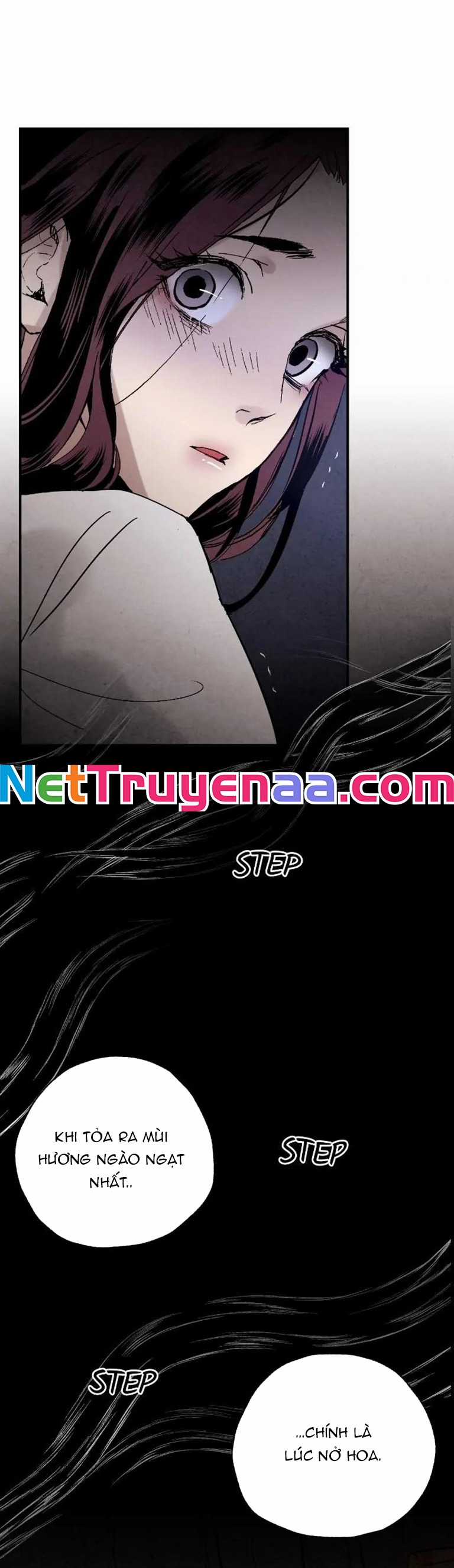 Pha Lê Xanh - Chapter 13 - Trang 22