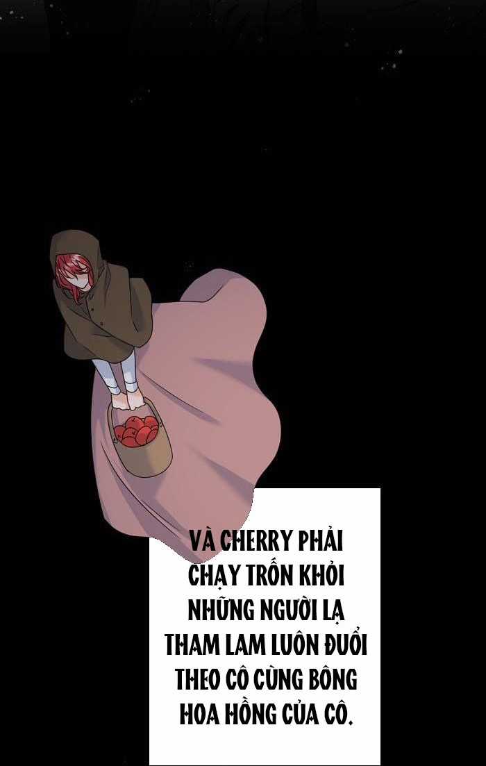 Phải Lòng Kẻ Thù - Chapter 15 - Trang 12