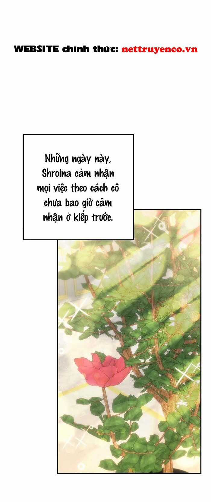 Phải Lòng Kẻ Thù - Chapter 17 - Trang 21