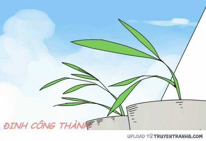 Phần Mềm Thẩm Mỹ - Chapter 26 - Trang 5