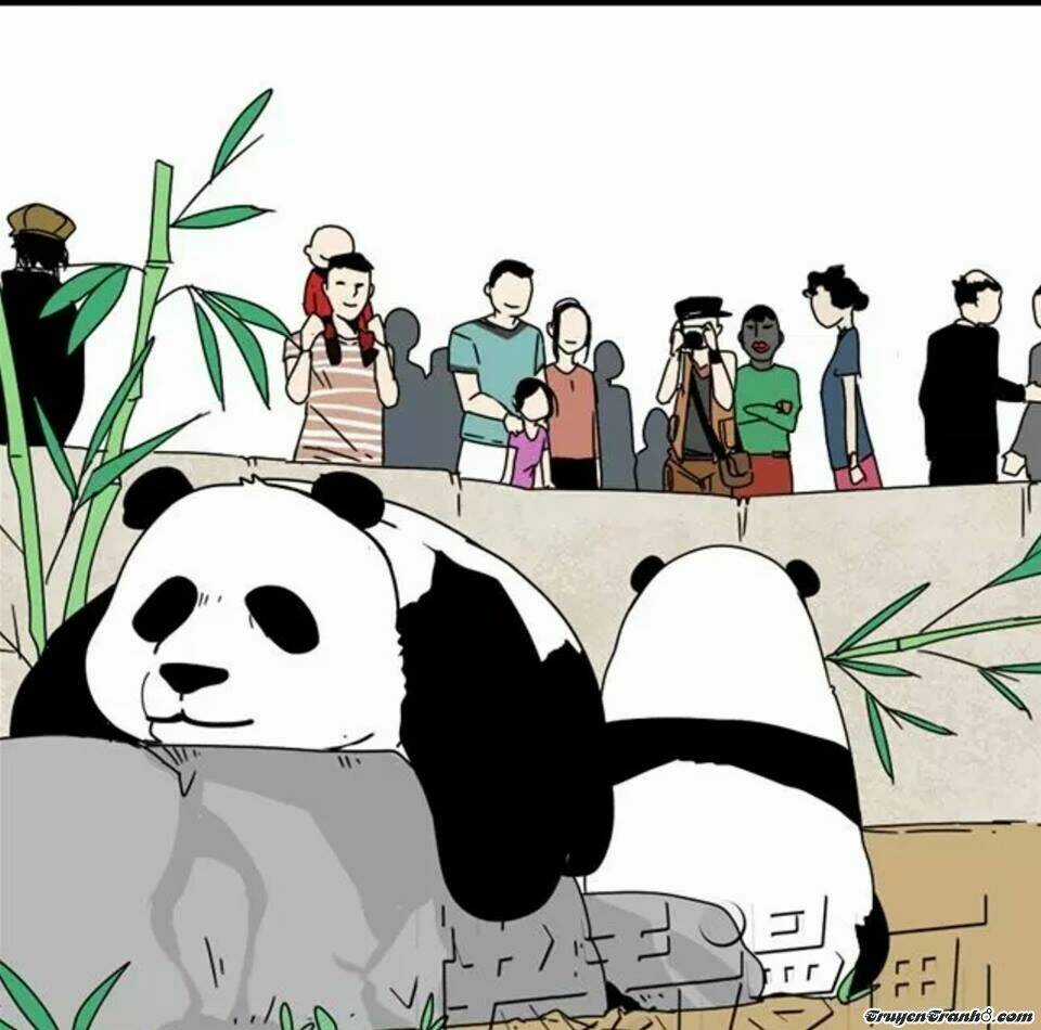 Phần Mềm Thẩm Mỹ - Chapter 6 - Trang 17