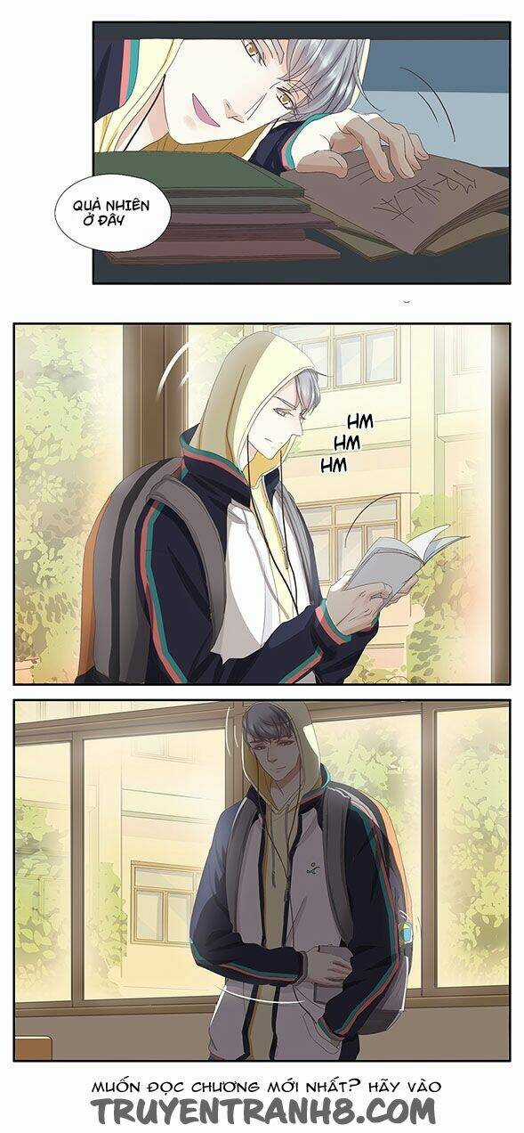 Phản Ứng Hoá Học - Chapter 17 - Trang 2