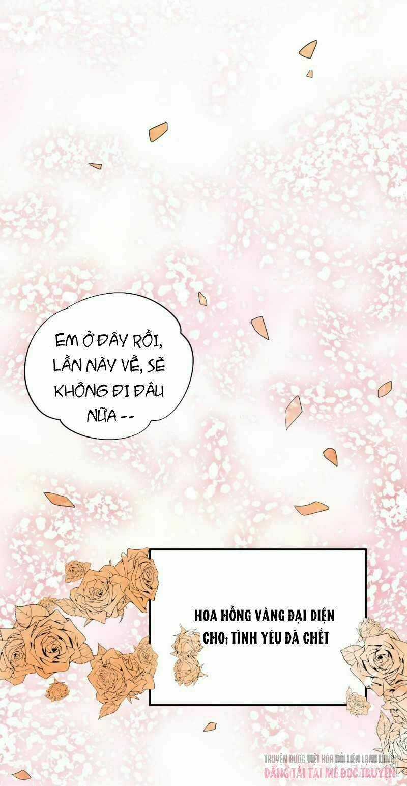 Phi Hành Tinh Cầu Bay - Chapter 1 - Trang 5