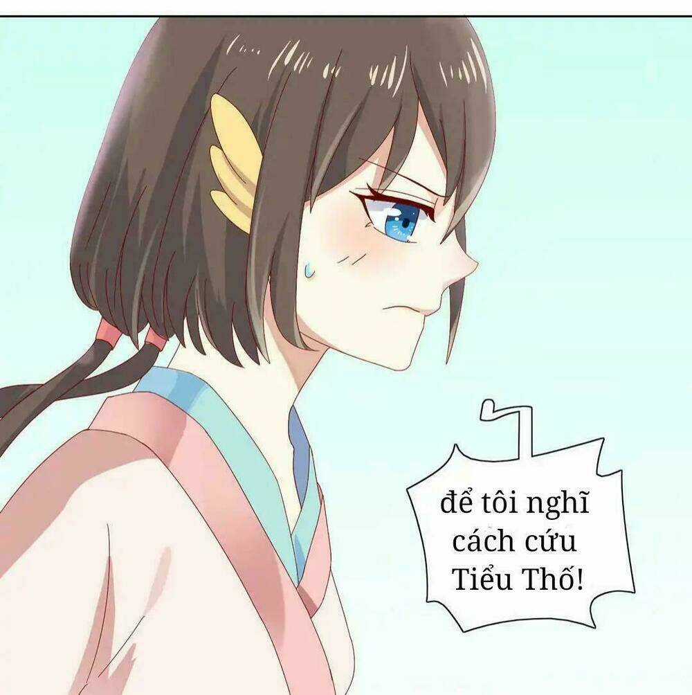 Phi Thiên Địch Tự Dưỡng Đích Khẩu Tử - Chapter 13 - Trang 8