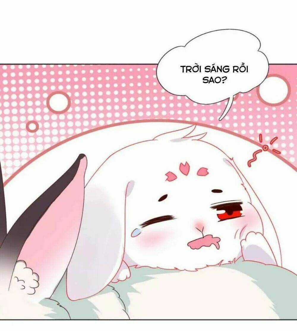 Phi Thiên Địch Tự Dưỡng Đích Khẩu Tử - Chapter 21 - Trang 13