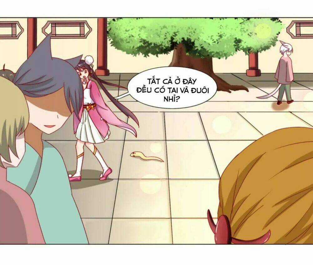 Phi Thiên Địch Tự Dưỡng Đích Khẩu Tử - Chapter 23 - Trang 4