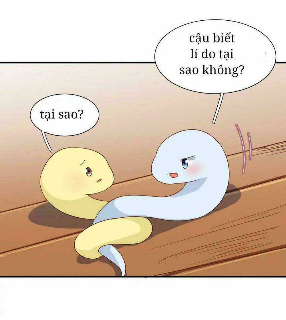 Phi Thiên Địch Tự Dưỡng Đích Khẩu Tử - Chapter 25 - Trang 5