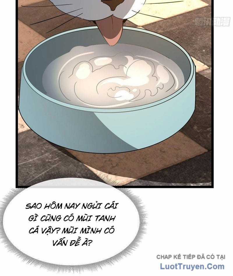 Phổ La Chi Chủ - Chapter 15 - Trang 88