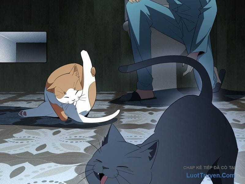 Phổ La Chi Chủ - Chapter 17 - Trang 9