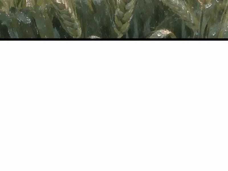 Phổ La Chi Chủ - Chapter 18 - Trang 27