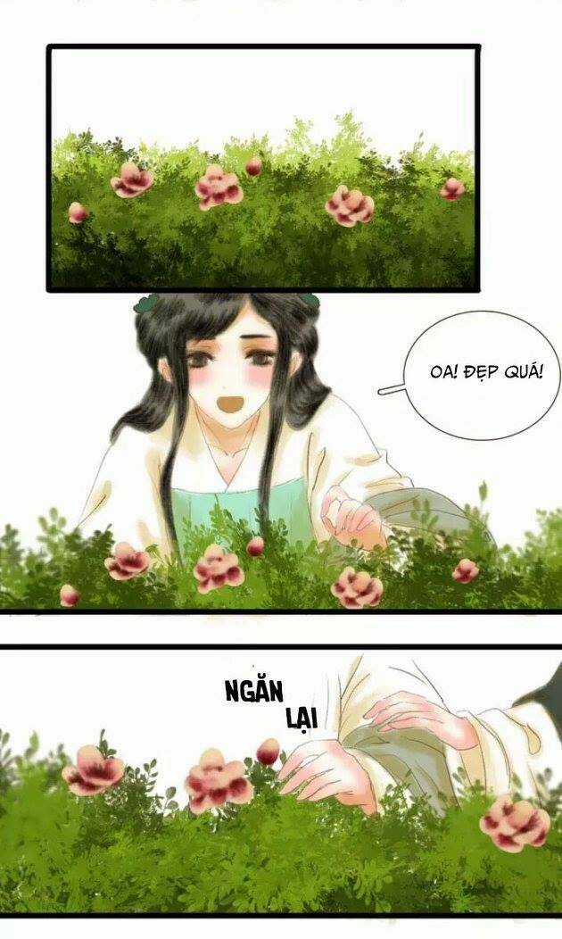 Phồn Hoa Phai Màu - Chapter 1 - Trang 17