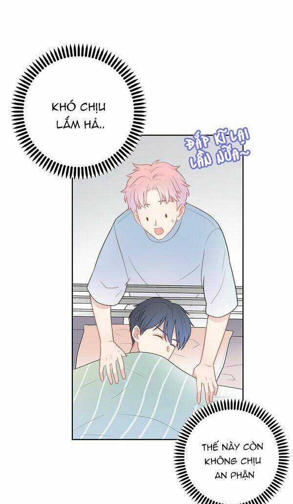 Phòng Ngủ 1001 - Chapter 8 - Trang 5