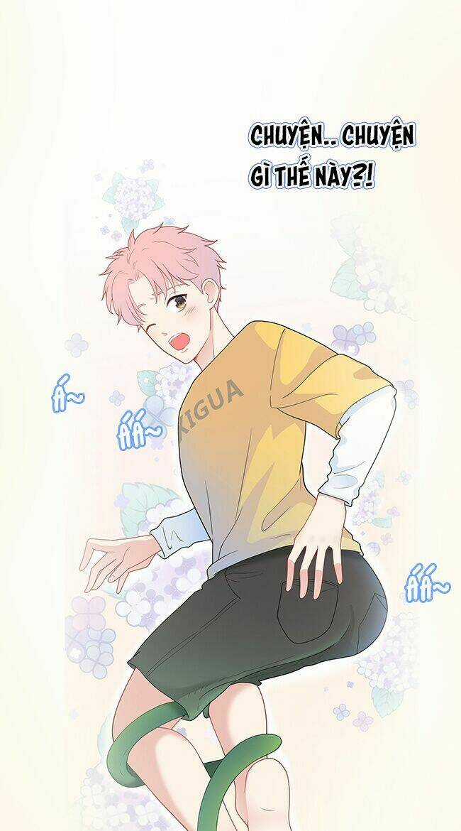 Phòng Ngủ 1001 - Chapter 9 - Trang 7