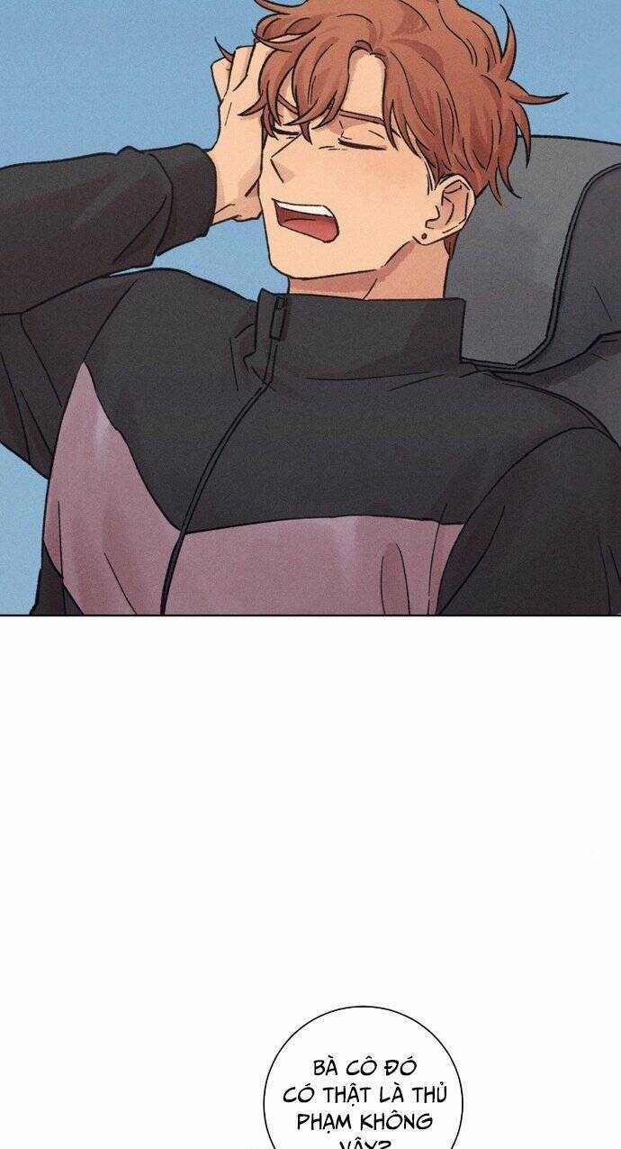 Phỏng Vấn Sát Nhân - Chapter 20 - Trang 3