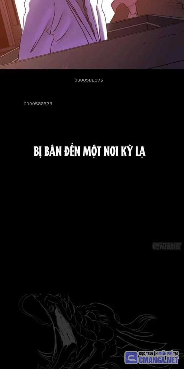 Phong Yêu Vấn Đạo - Chapter 78 - Trang 4