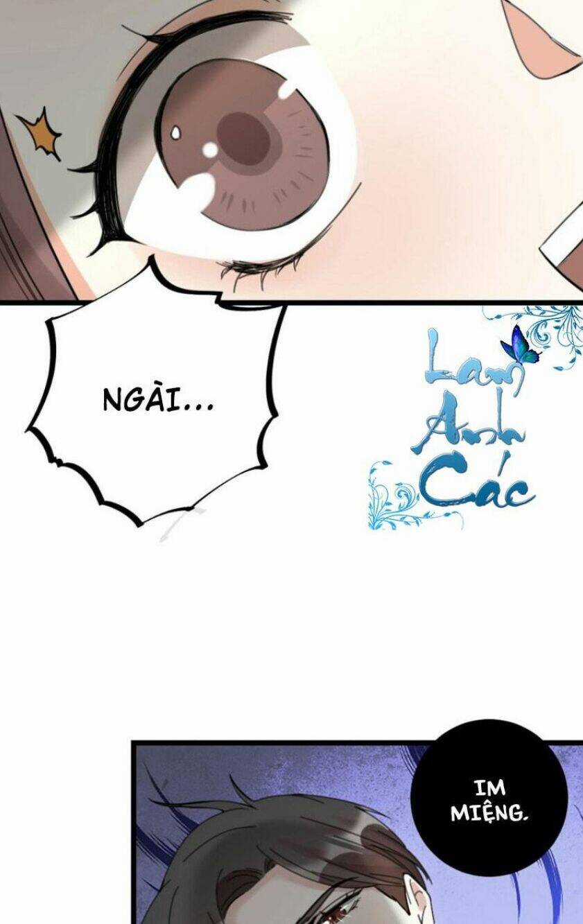 Phu Phu Khuynh Thành - Chapter 19 - Trang 8