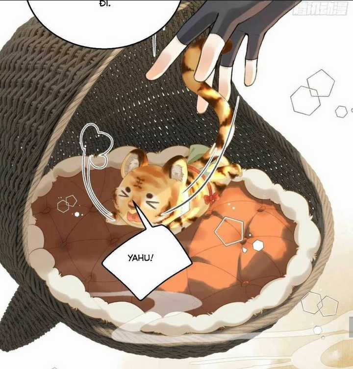 Phu Quân Giữ Thê - Chapter 17 - Trang 33