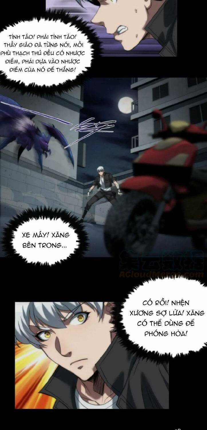 Phù Thạch Vương Giả - Chapter 3 - Trang 21