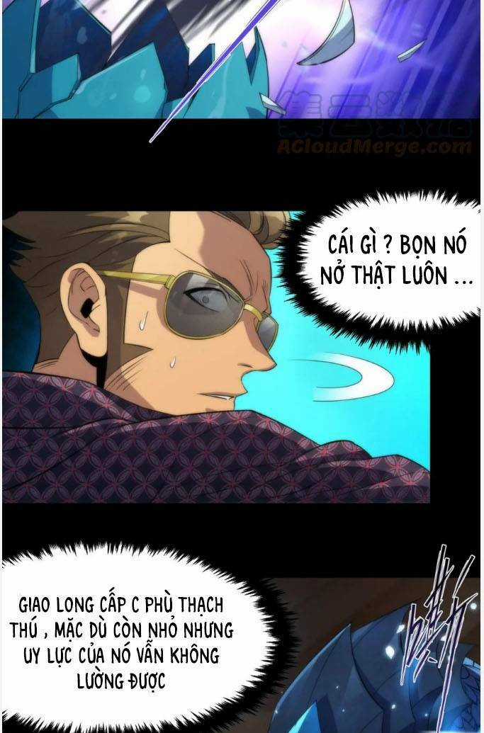 Phù Thạch Vương Giả - Chapter 8 - Trang 22