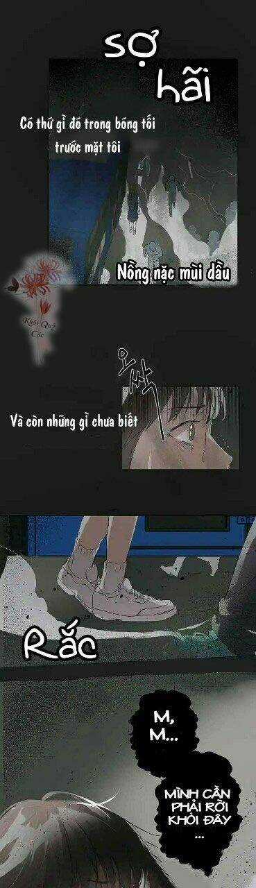 Phù Thủy Tóc Vàng - Chapter 1 - Trang 10