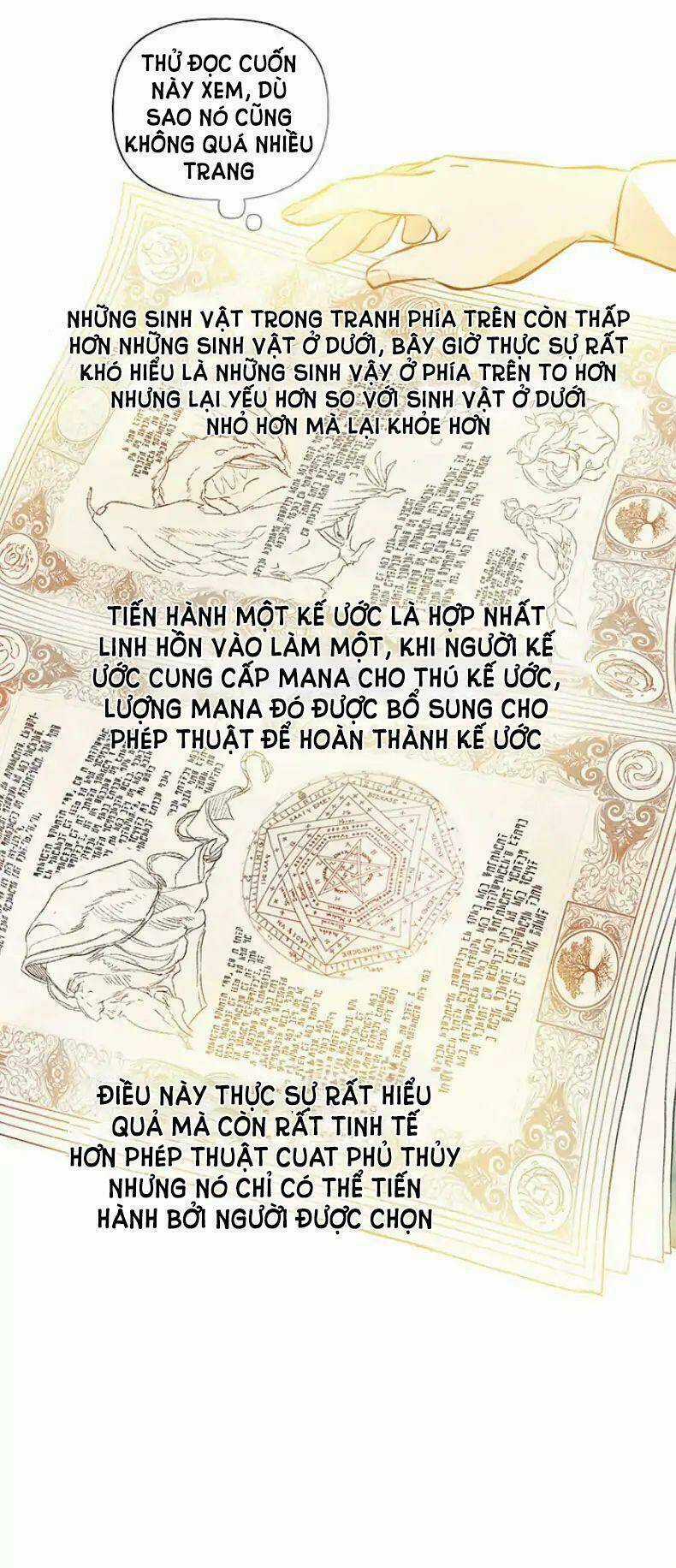 Phù Thủy Tóc Vàng - Chapter 3 - Trang 10