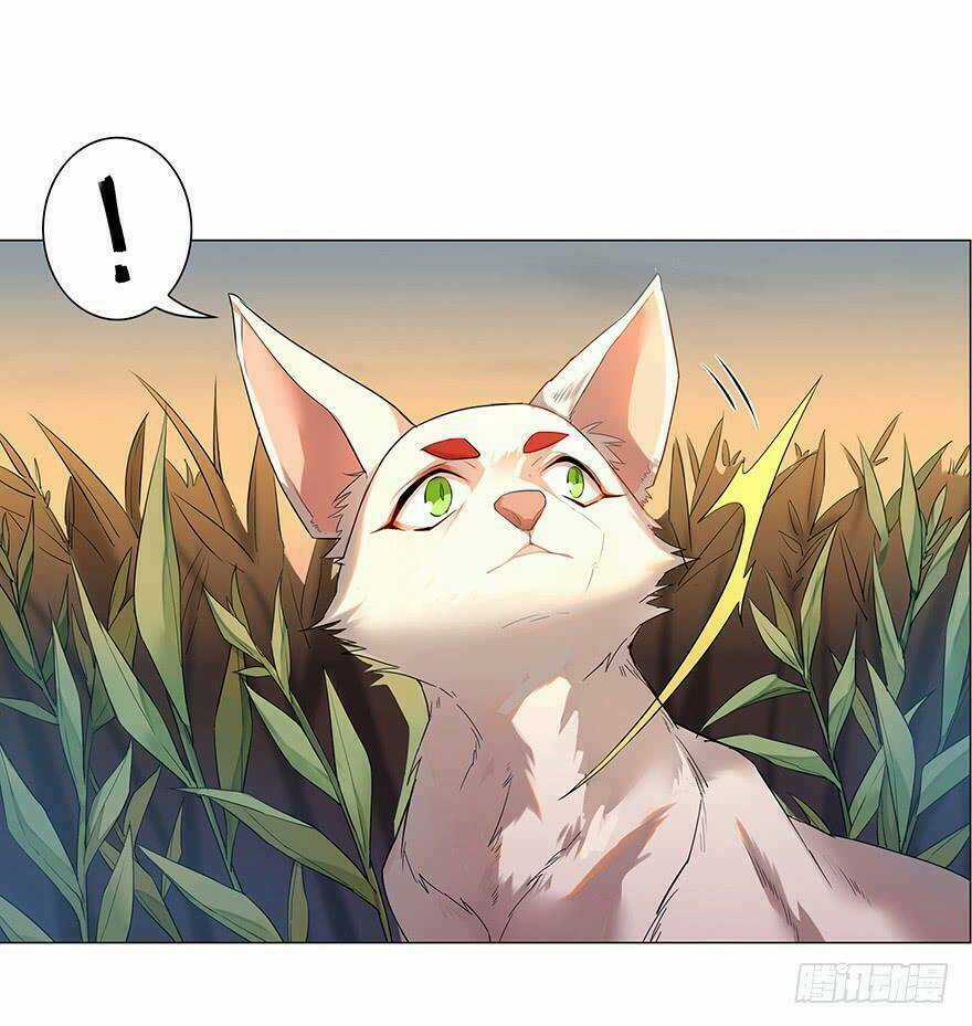 Phụng Quy - Chapter 1 - Trang 20