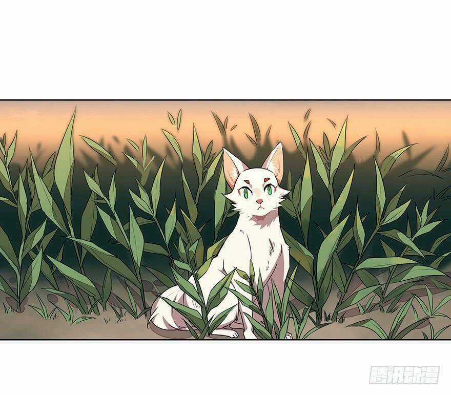 Phụng Quy - Chapter 1 - Trang 26