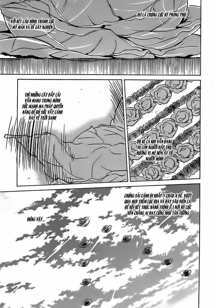 Phước Lành Cho Thế Giới - Chapter 2 - Trang 25