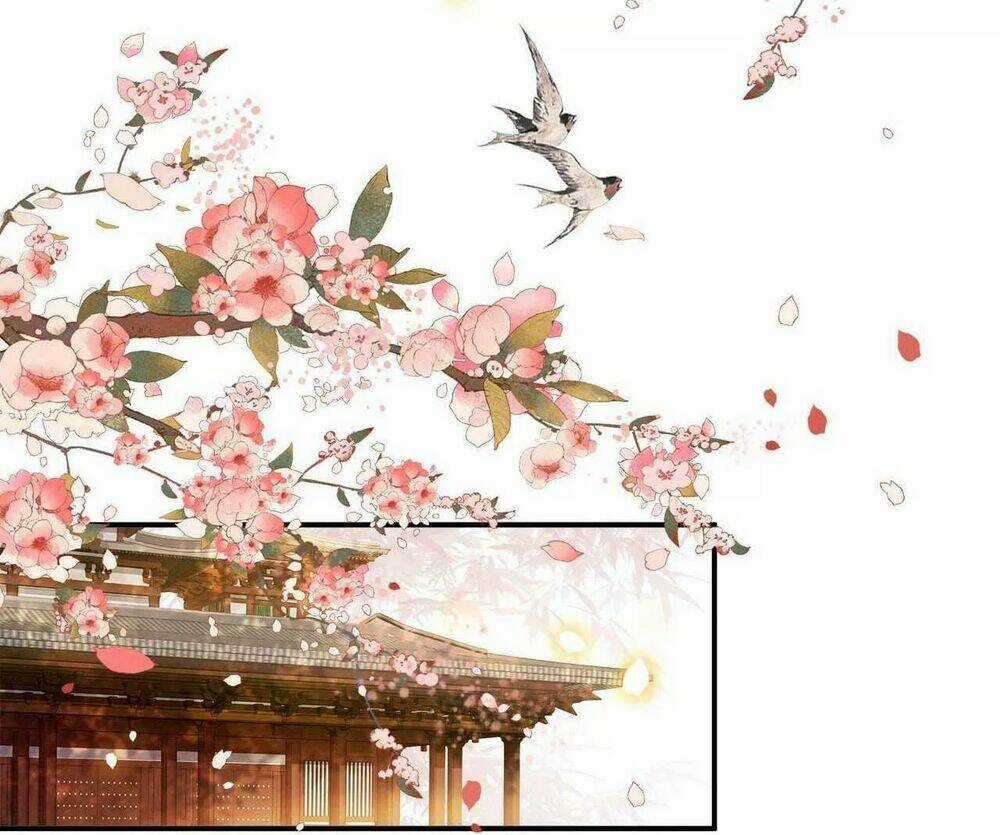 Phượng Hoàng Vu Phi - Chapter 102 - Trang 11