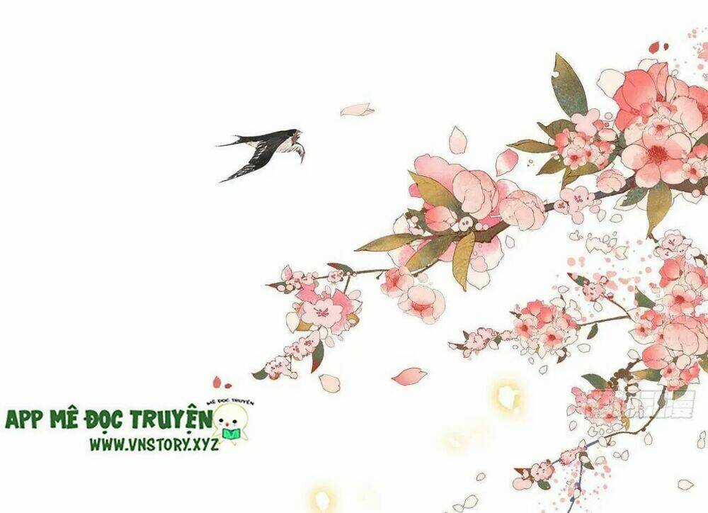 Phượng Hoàng Vu Phi - Chapter 102 - Trang 10